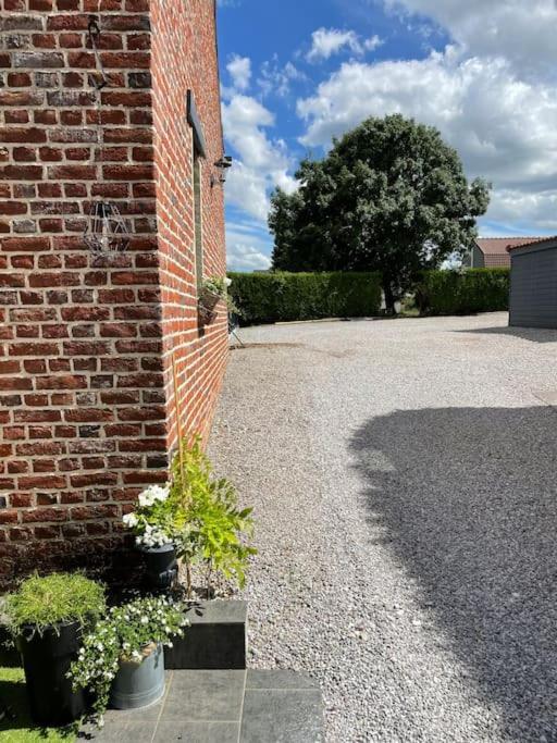 Le Clos Des Glycines Saint-Martin-Lez-Tatinghem Eksteriør bilde