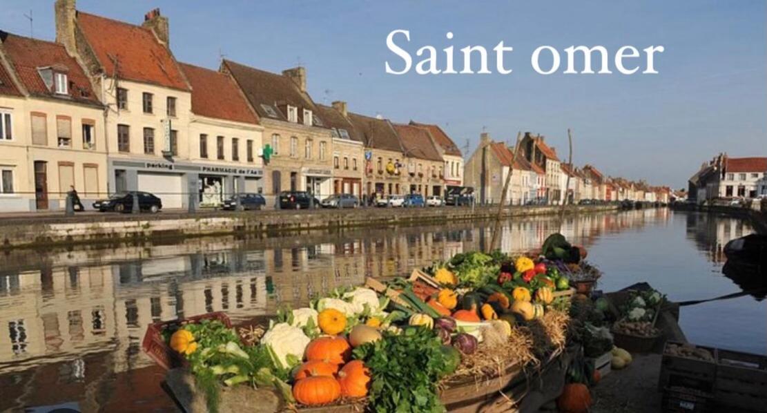Le Clos Des Glycines Saint-Martin-Lez-Tatinghem Eksteriør bilde